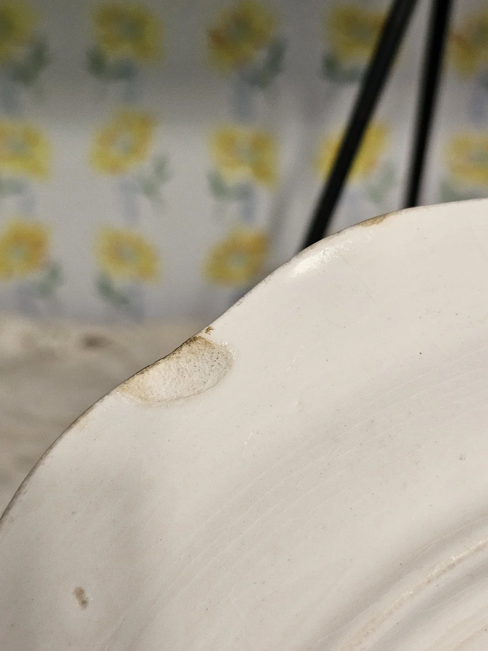 Set Of 2 French Saxon China 